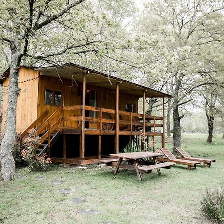 Le Ranch Amadeus Bed & Breakfast Saint-Paul-en-Born Luaran gambar