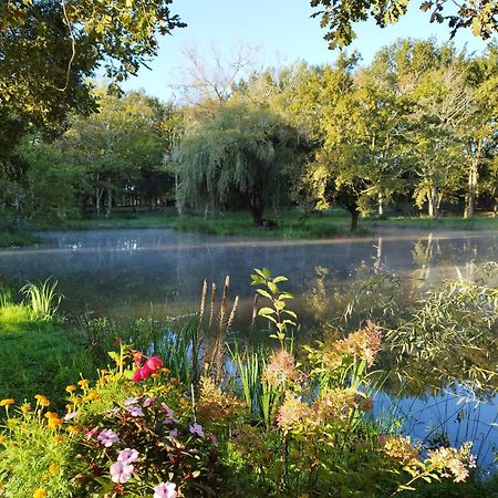 Le Ranch Amadeus Bed & Breakfast Saint-Paul-en-Born Luaran gambar