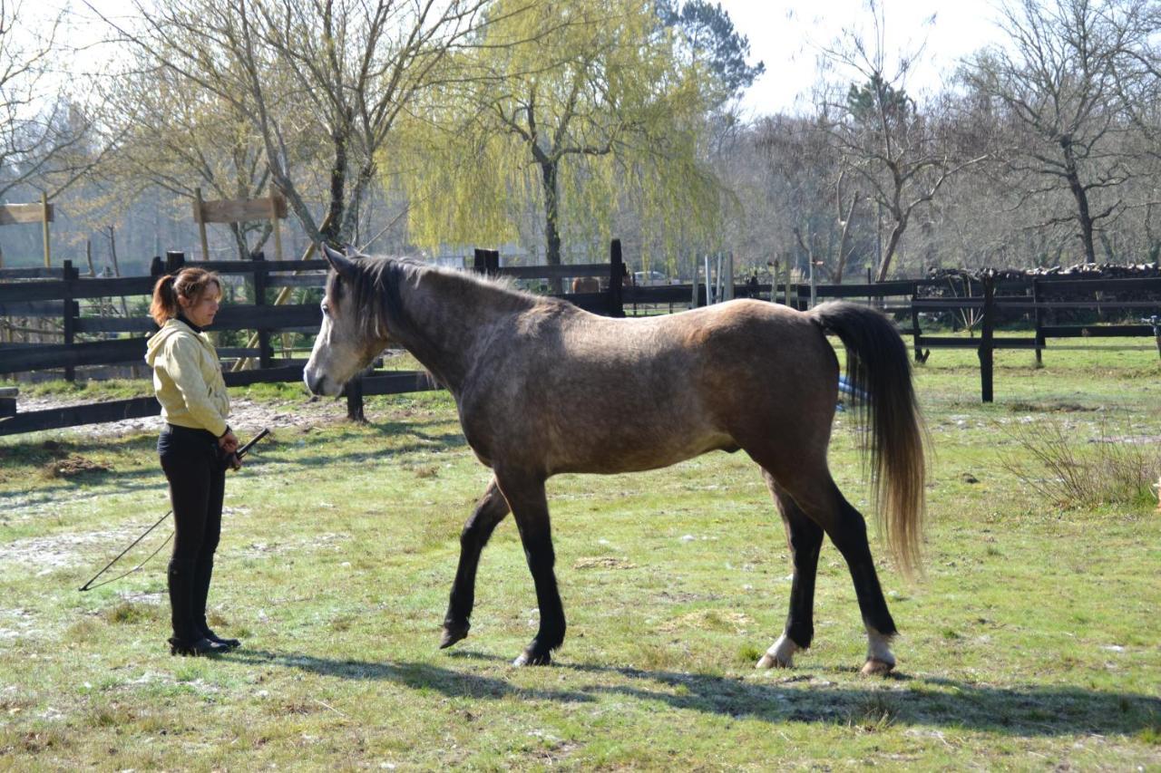 Le Ranch Amadeus Bed & Breakfast Saint-Paul-en-Born Luaran gambar