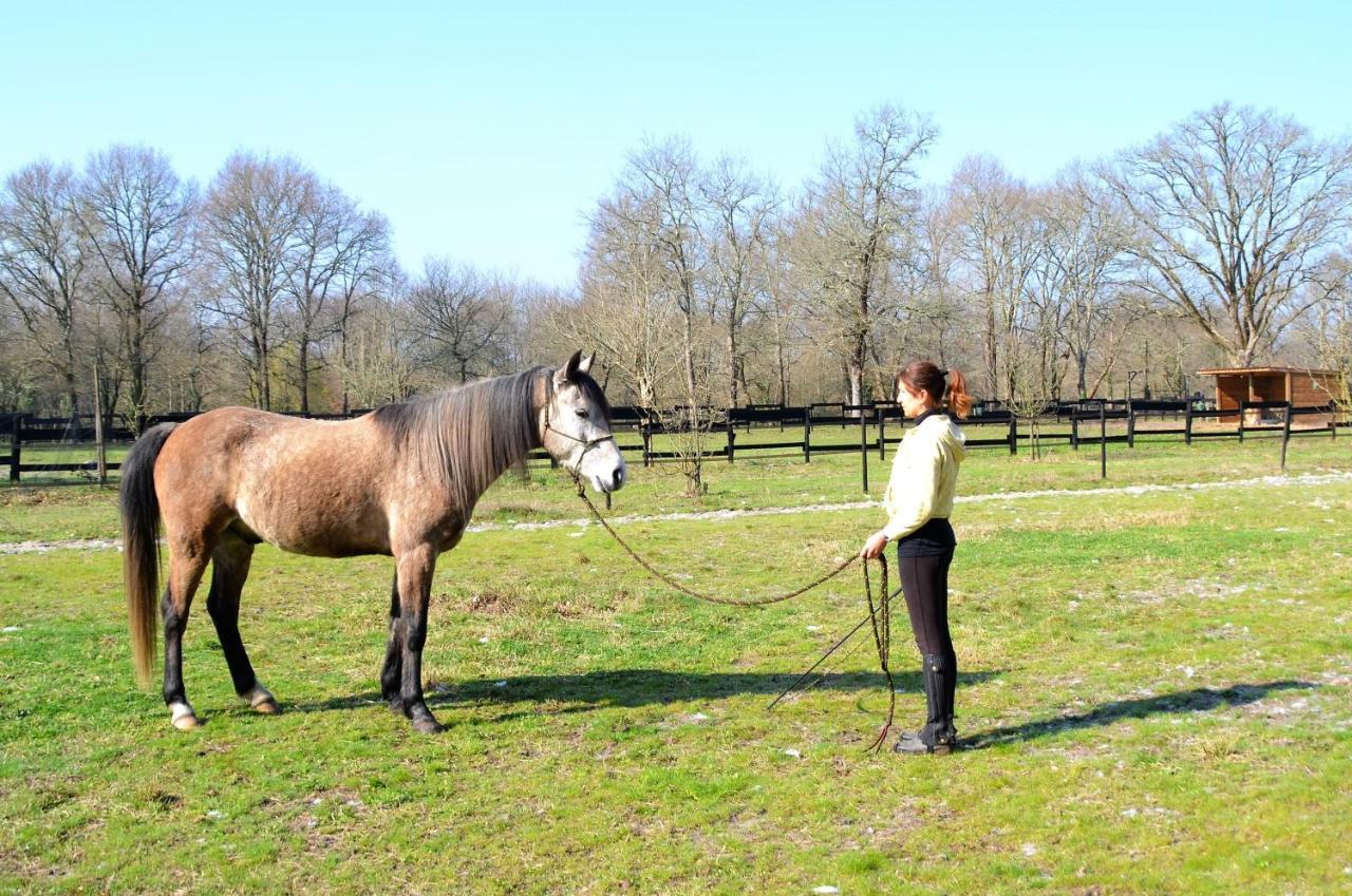 Le Ranch Amadeus Bed & Breakfast Saint-Paul-en-Born Luaran gambar