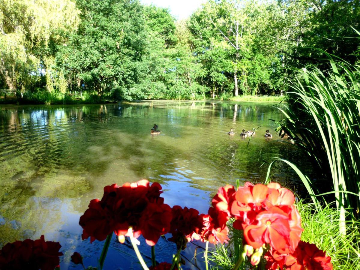 Le Ranch Amadeus Bed & Breakfast Saint-Paul-en-Born Luaran gambar
