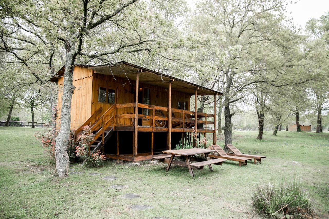 Le Ranch Amadeus Bed & Breakfast Saint-Paul-en-Born Luaran gambar