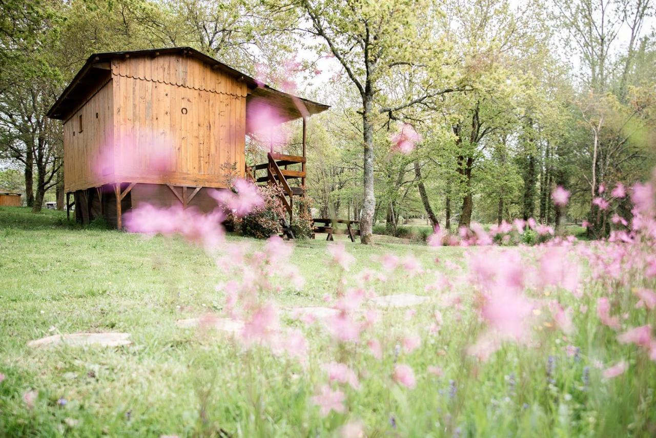 Le Ranch Amadeus Bed & Breakfast Saint-Paul-en-Born Luaran gambar