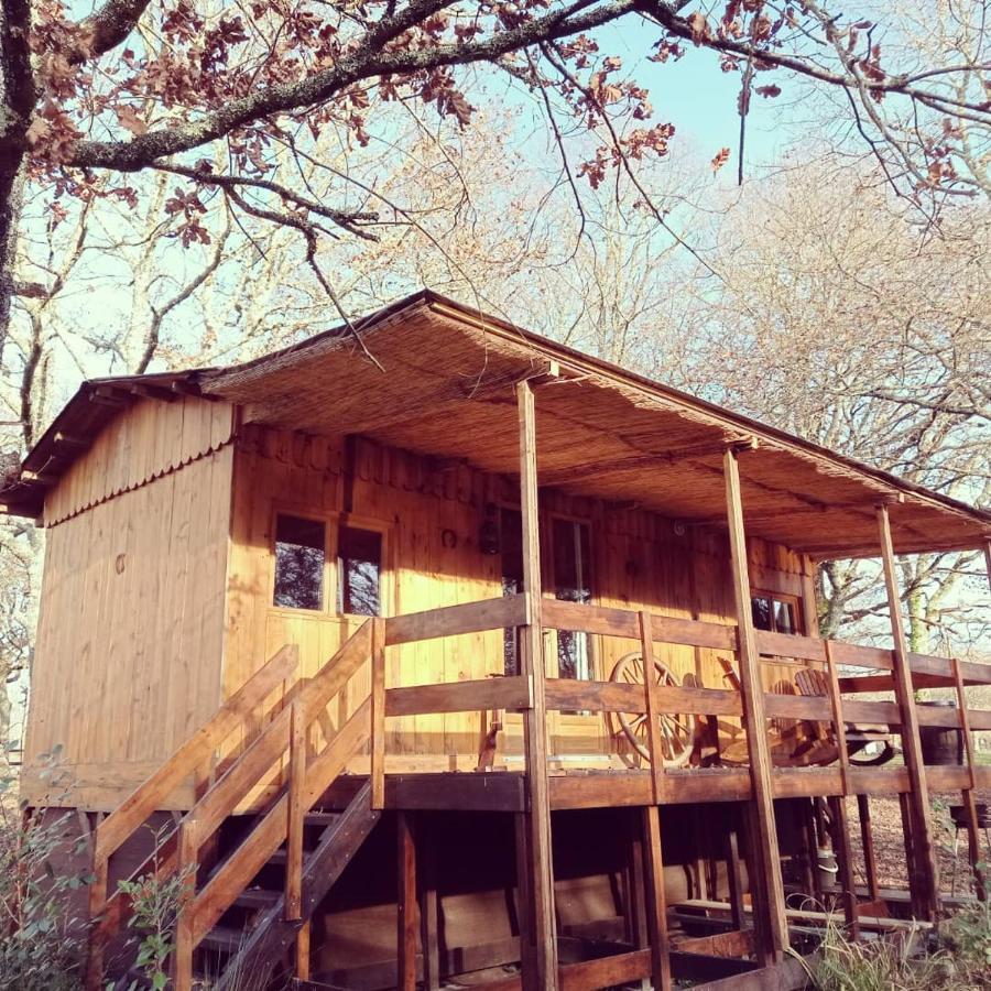 Le Ranch Amadeus Bed & Breakfast Saint-Paul-en-Born Luaran gambar