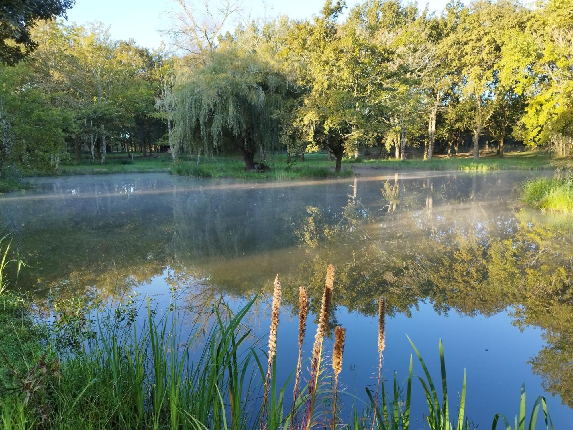 Le Ranch Amadeus Bed & Breakfast Saint-Paul-en-Born Luaran gambar