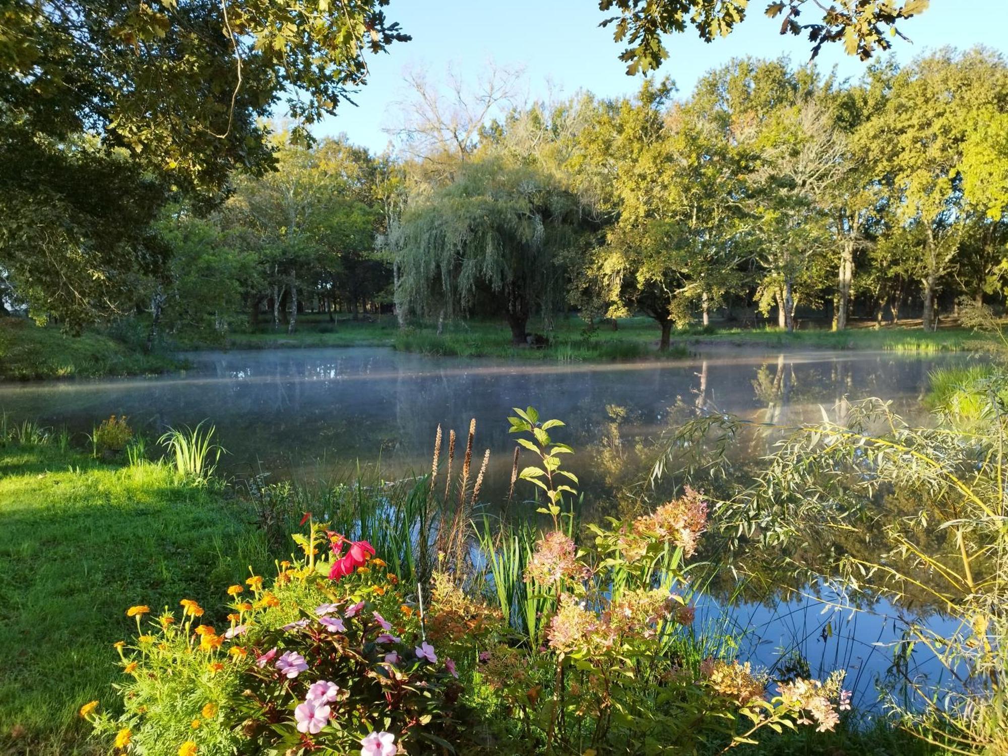 Le Ranch Amadeus Bed & Breakfast Saint-Paul-en-Born Luaran gambar