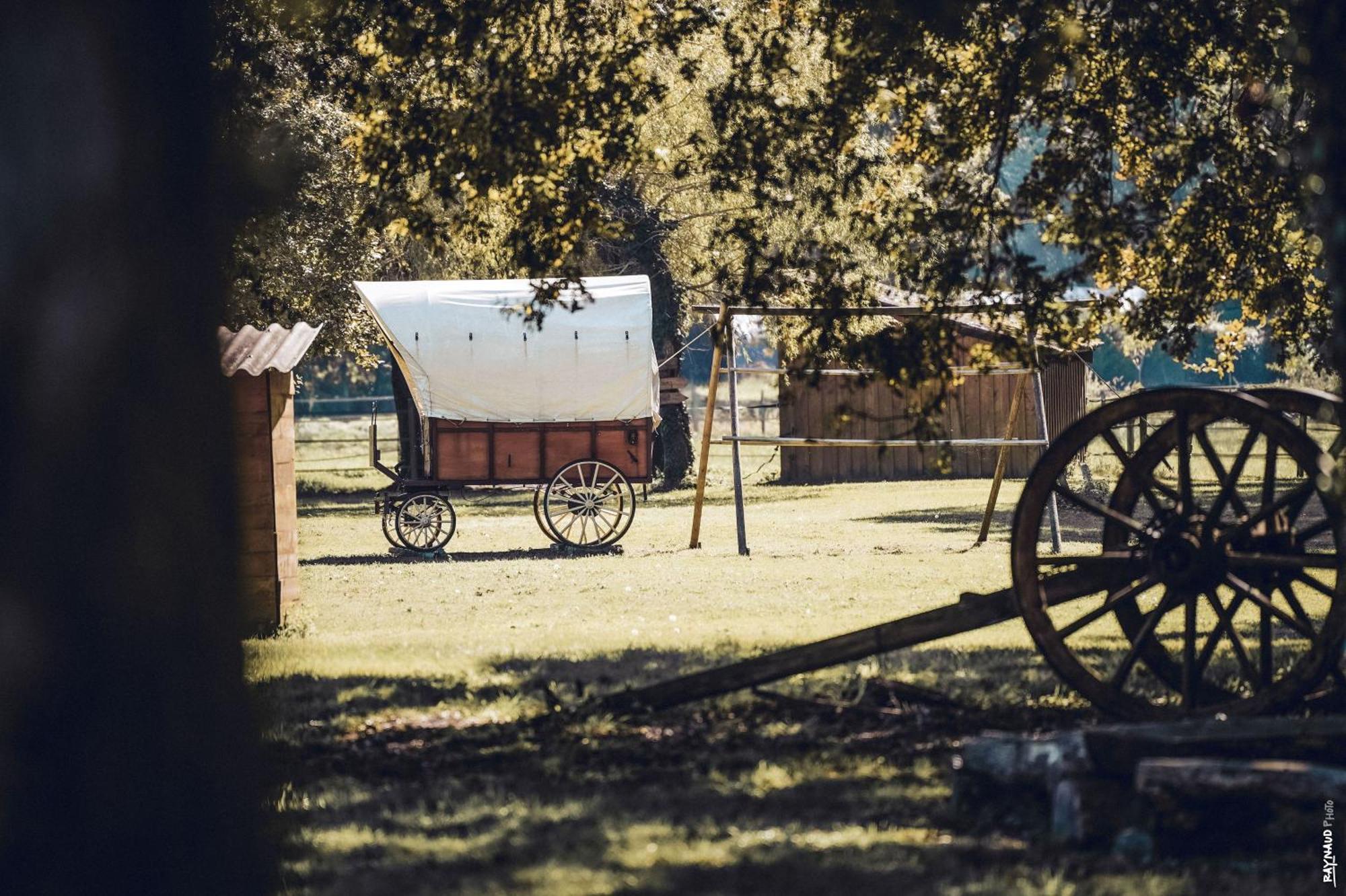 Le Ranch Amadeus Bed & Breakfast Saint-Paul-en-Born Luaran gambar